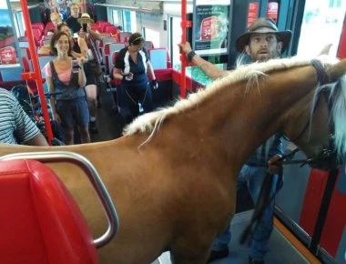 Μια χαλαρή βολτούλα με το τρένο έκανε νεαρός μαζί με το άλογό του! (φωτό)